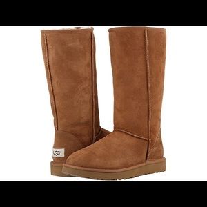 Size 5 chestnut tall uggs